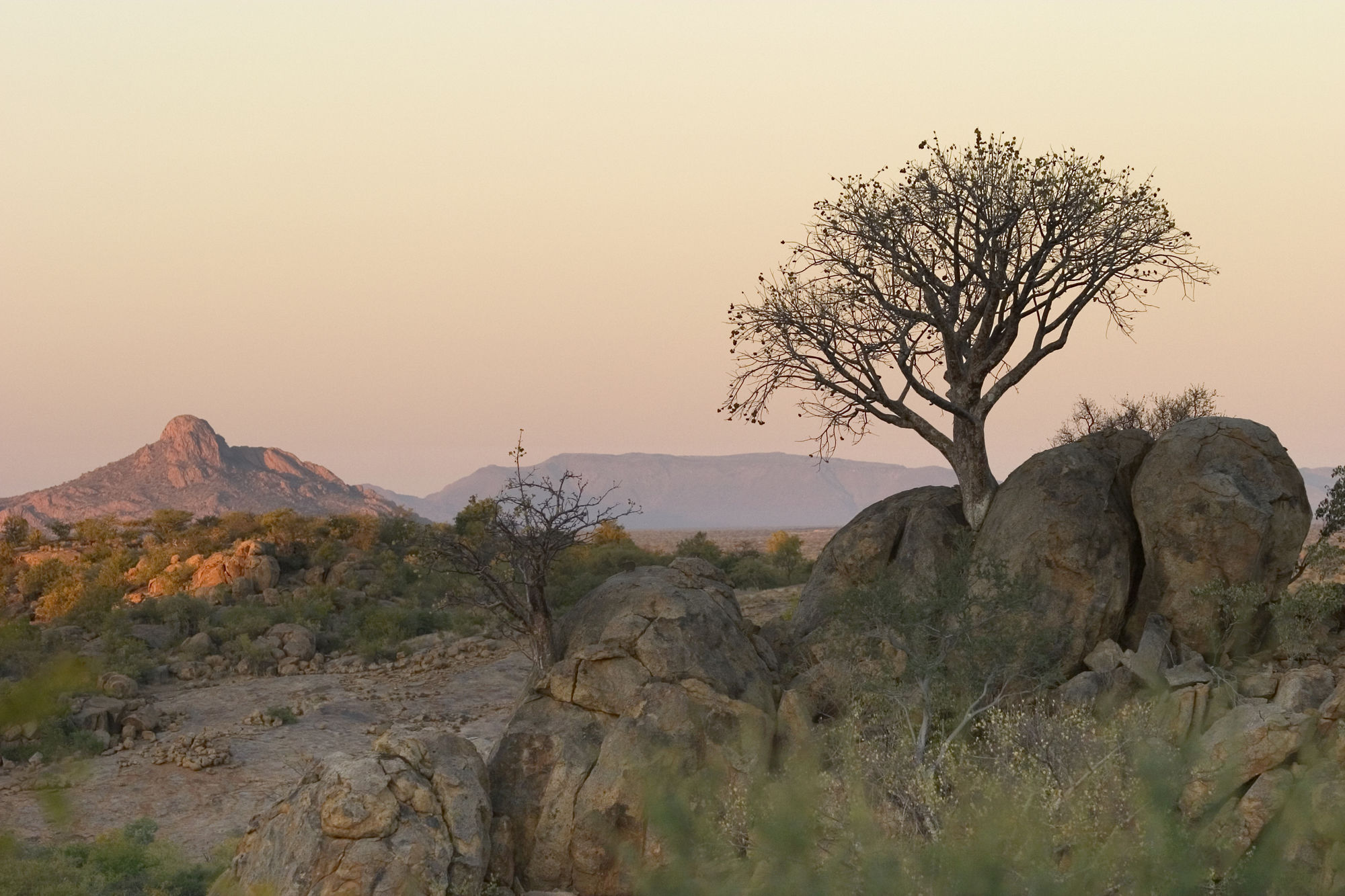 Erongo Wilderness Lodge أومارورو المظهر الخارجي الصورة